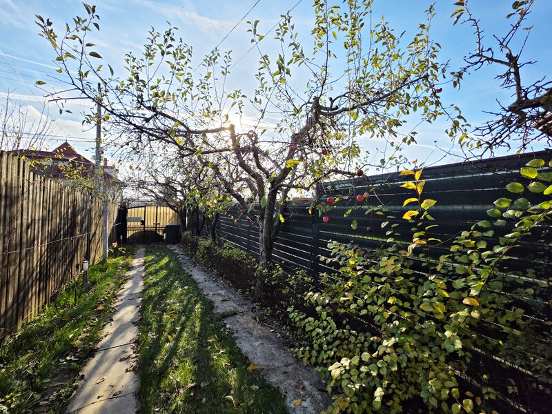 Balotesti, central, Martha Bibescu,